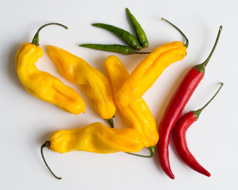 Spice Doesn’t Mean Heat: Rethinking South Indian Flavours