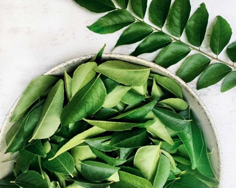 Curry Leaves: The Secret Behind South Indian Cuisine