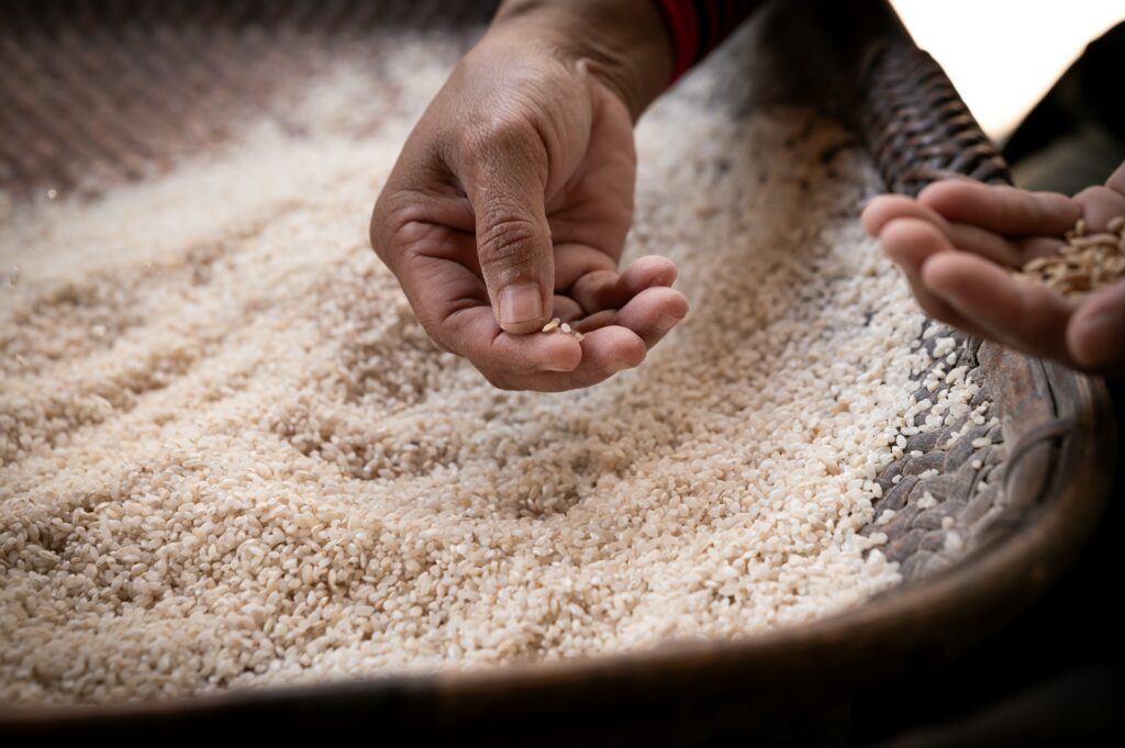 Rice, the Everyday Grain With a Complicated History in South Indian Cooking